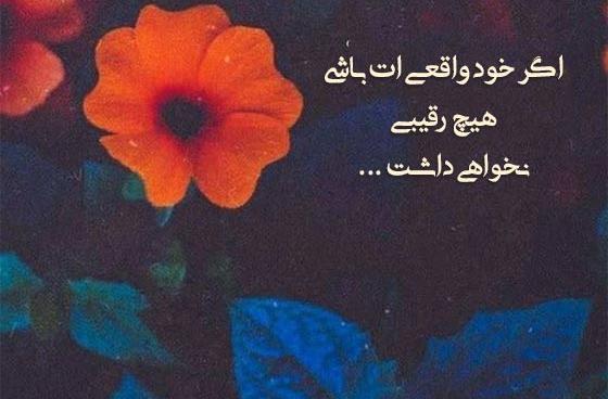 عکس متن های کوتاه زیبا برای بیوگرافی واتساپ