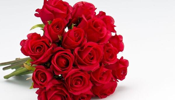 عکس یک گل زیبا برای پروفایل واتساپ
