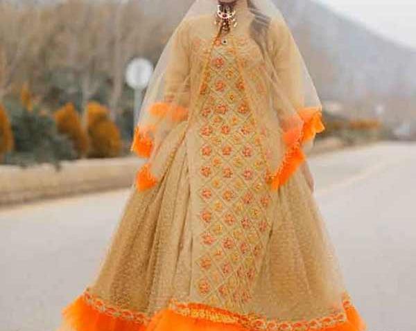 عکس مدل لباس مجلسی لری زنانه