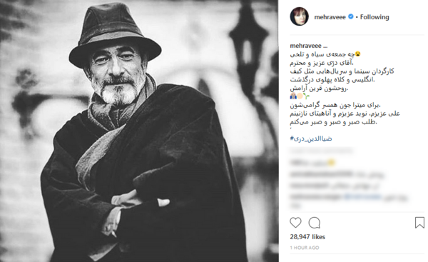 عکس سید ضیاءالدین دری