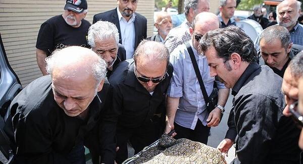 عکس سید ضیاءالدین دری
