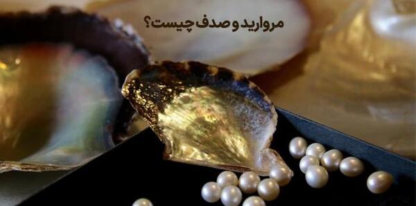 عکس مروارید در صدف واقعی