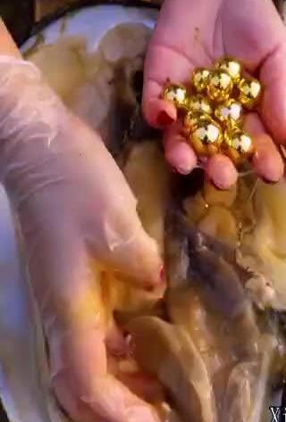 عکس مروارید در صدف واقعی