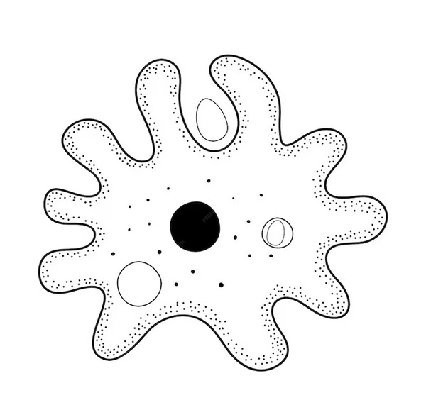 عکس نقاشی صدف آسان