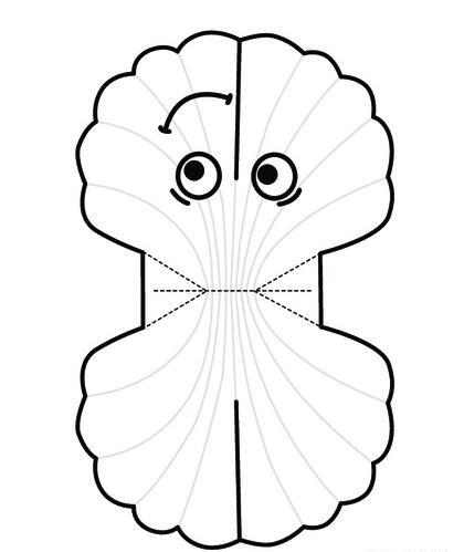 عکس صدف برای کاردستی