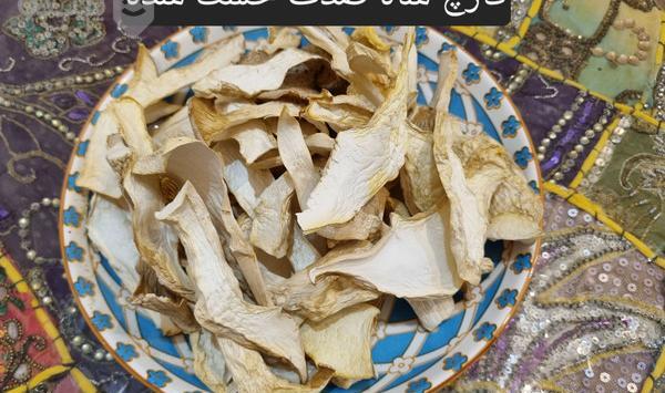 عکس قارچ شاه صدف