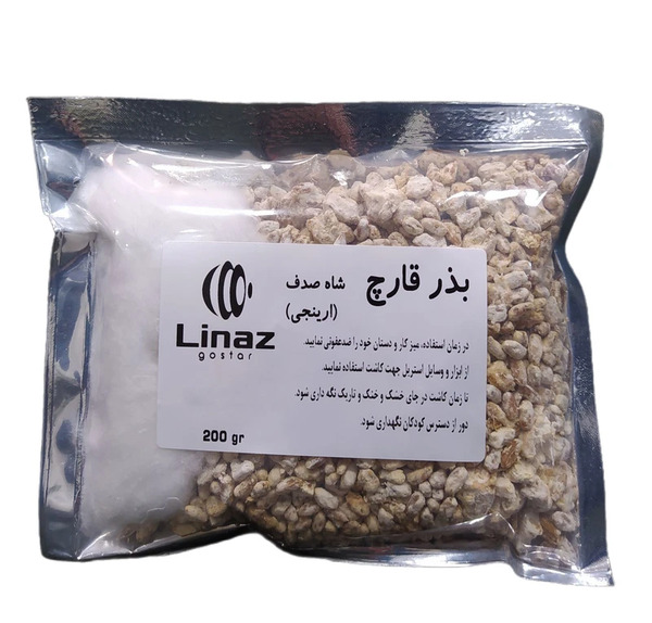 عکس قارچ شاه صدف