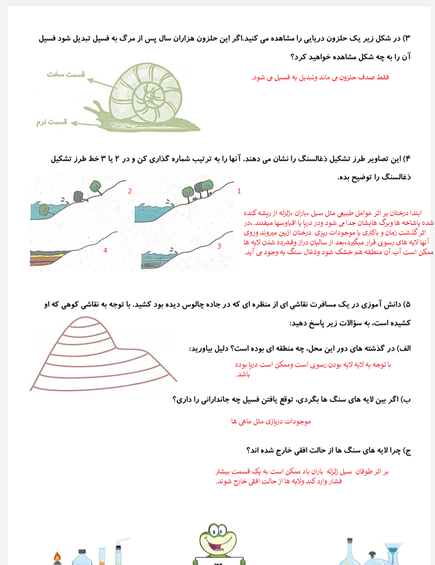 عکس فسیل صدف و ماهی