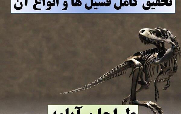 دانلود عکس فسیل صدف