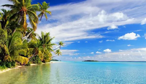 عکس ساحل صدف بندر لنگه