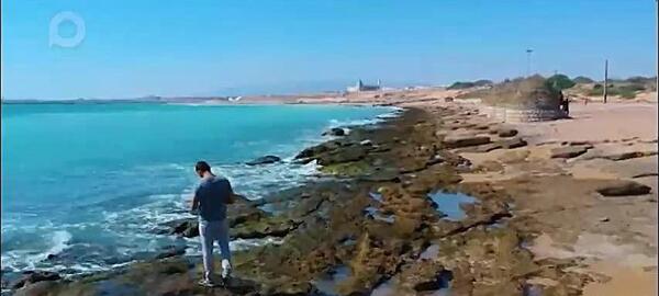 عکس ساحل صدف بندر لنگه