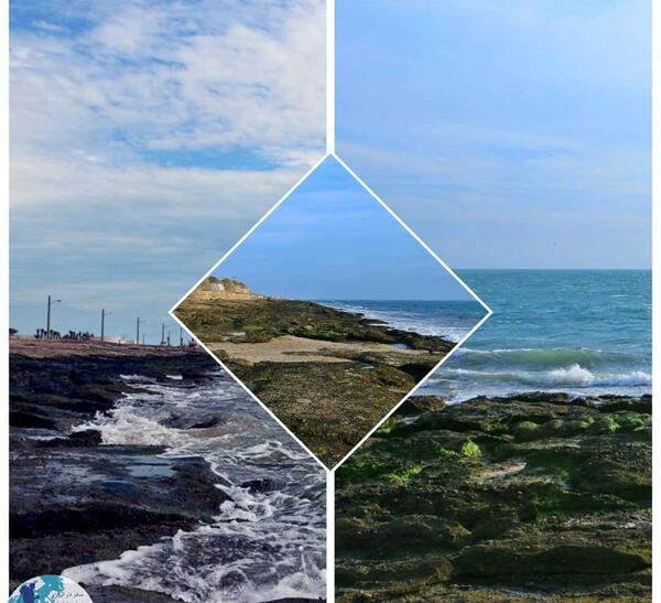 عکس ساحل صدف بندر لنگه