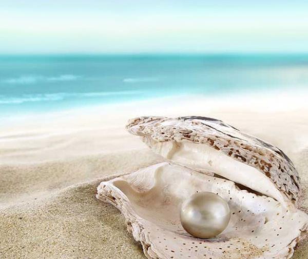 عکس ساحل صدف بندر لنگه