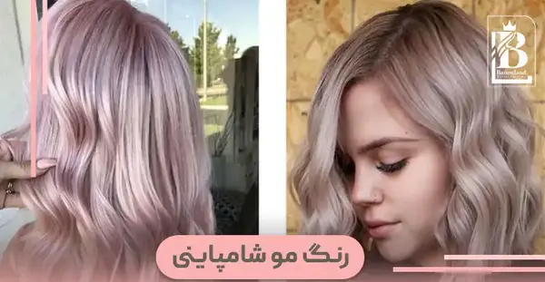 عکس رنگ موی صدفی