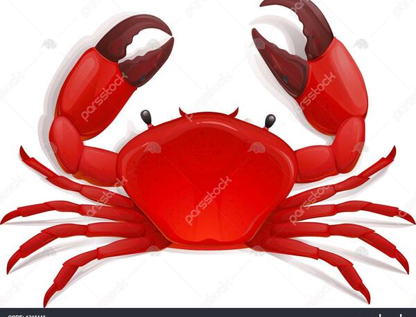 عکس خرچنگ صدف دار