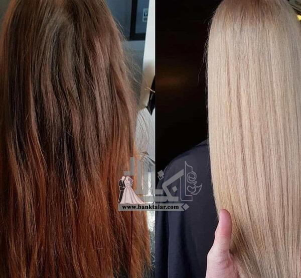 عکس صدف بیوتی بابل