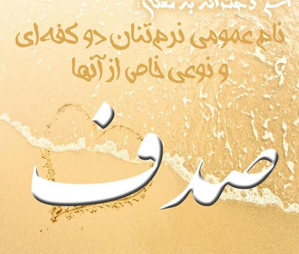 عکس اسم صدف به انگلیسی