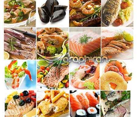 عکس انواع صدف خوراکی