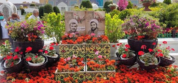 عکس محمدصادق قاسمی