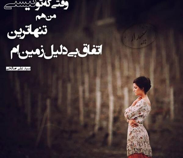 عکس سید صالحی