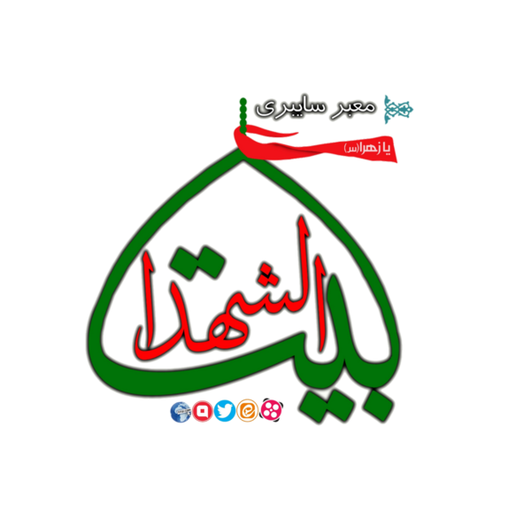 عکس سید مجتبی صالحی خوانساری