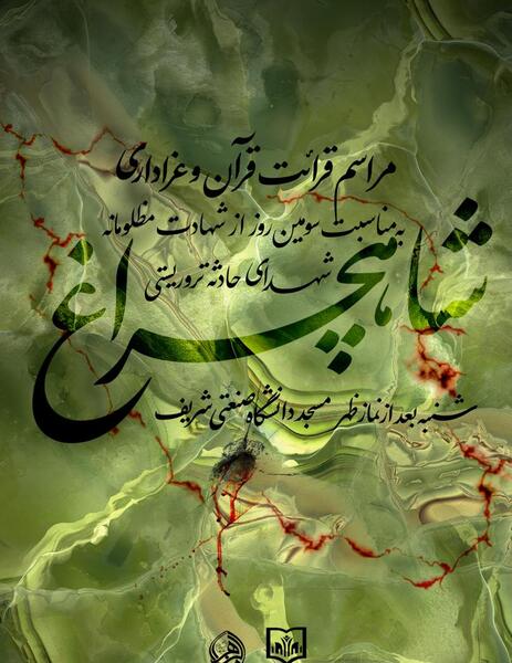 عکس سید حسام صالحی