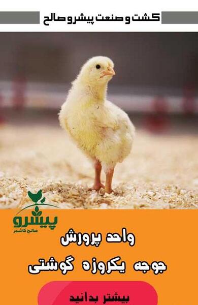 عکس حاج قدیر صالحی