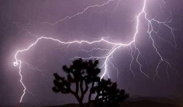 عکس پارک صالح آباد