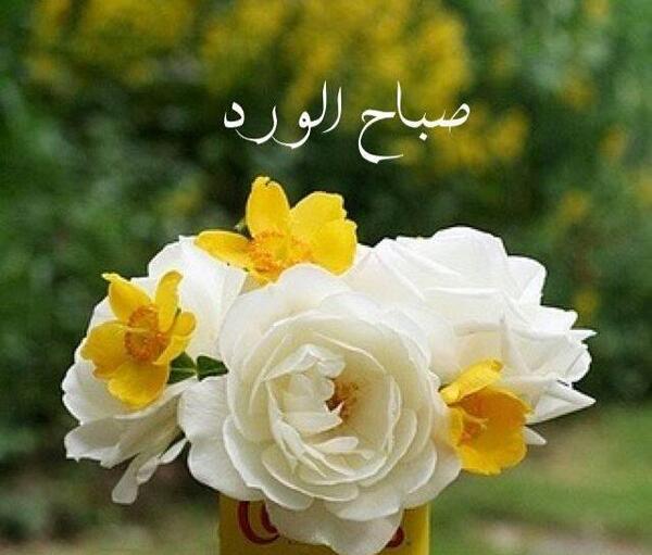 عکس صباح الخیر متحرک