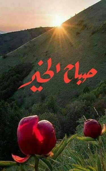 عکس صباح الخیر متحرک