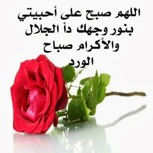 عکس صباح النور عربی
