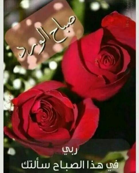 عکس صباح النور عربی