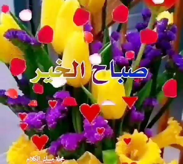 عکس صباح النور عربی