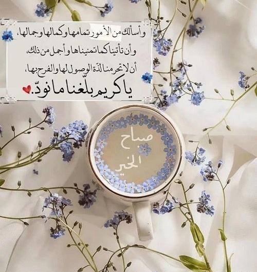 عکس صباح النور عربی