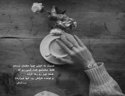 عکس شهاب فالجی و دخترش