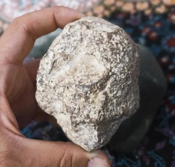 عکس شهاب سنگ های مریخی