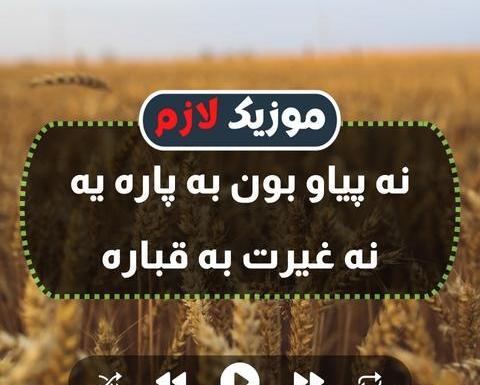 عکس خواننده شهاب روانسری