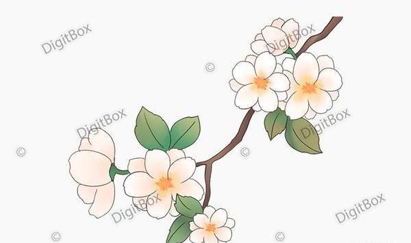 عکس نقاشی شکوفه بهاری