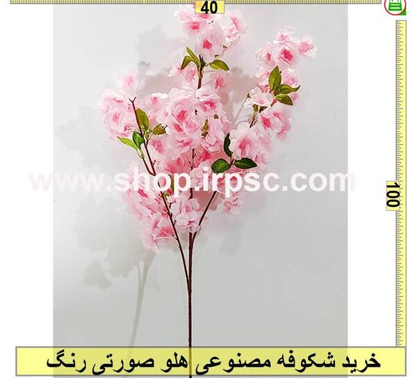 عکس شکوفه های هلو