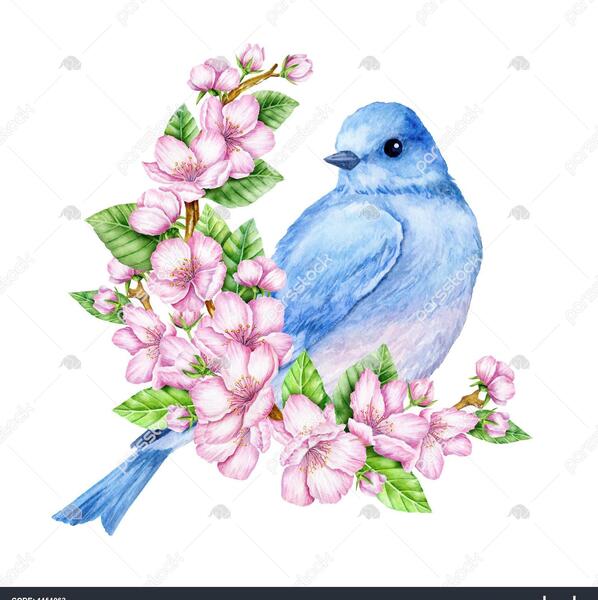 عکس پرنده و درخت شکوفه