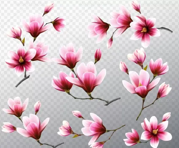 عکس گل و شکوفه بهاری
