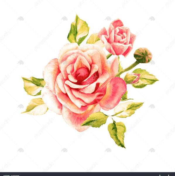 عکس شکوفه برای نقاشی
