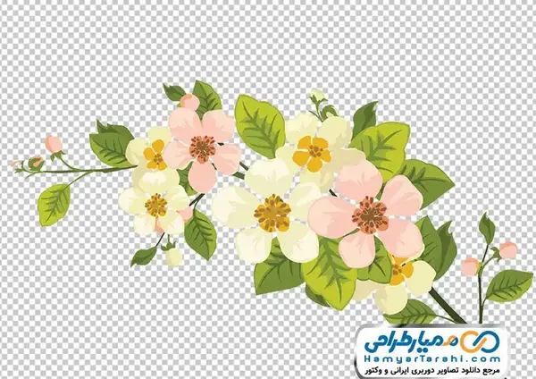 عکس شکوفه برای نقاشی