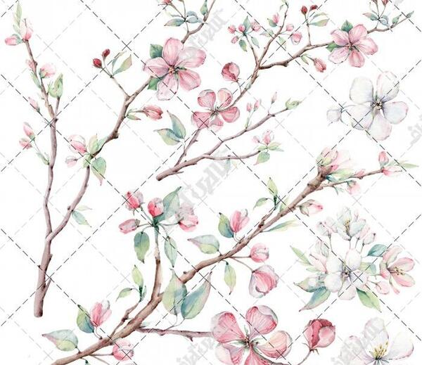 عکس شکوفه برای نقاشی