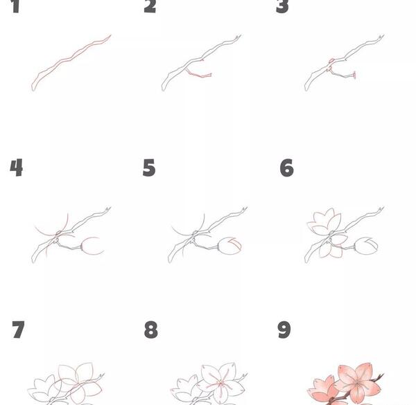 عکس شکوفه برای نقاشی