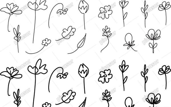 عکس شکوفه برای نقاشی