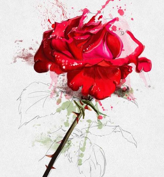 عکس شکوفه برای نقاشی