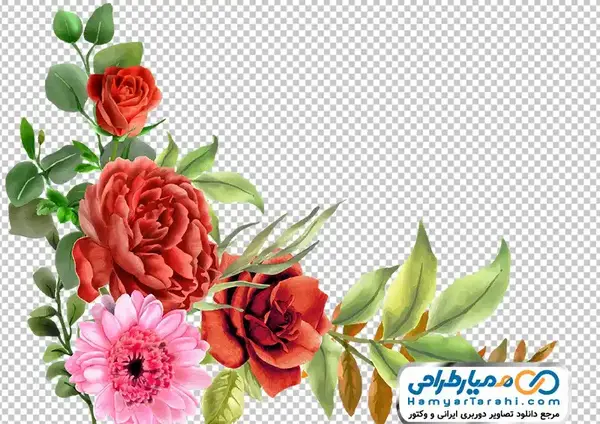 عکس شکوفه برای نقاشی
