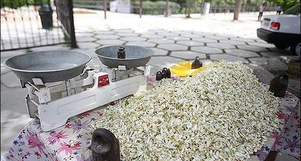عکس شکوفه های درخت نارنج