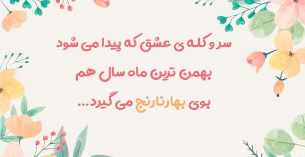 عکس شکوفه های درخت نارنج